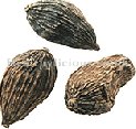 CAO GUO - Tsaoko - Fructus Tsaoko Herb