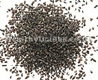 CHE QIAN ZI - Plaintain Seed - Psyllium - Semen Plantaginis Herb
