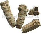 SAN QI  - Notoginseng Root  - Radix Notoginseng Herb