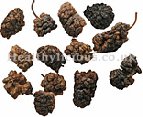 SANG SHEN ZI  - Mulberry Fruit - Fructus Mori Herb