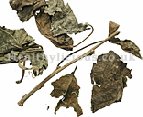 SANG YE - Mulberry Leaf - Folium Mori Herb