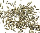 XIAO HUI XIANG - Fennel Seed - Fructus Foeniculi Herb