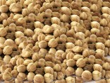 BAI DOU KOU - Round Cardamon Seed - Fructus Amomi Kravanh - Cardamon Cluster - Amomum - Fructus Amomi Rotundus Herb