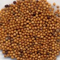 BAI JIE ZI  - White Mustard Seed - Brassica Seed - Semen Sinapis Herb