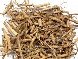 BAI QIAN - Cynanchum Root - Prime White Root - Willow Leaf Swallow Wort Rhizome - Glaucescent Swallow Wort Rhizome - Rhizoma et Radix Cynanchi Stauntonii Herb