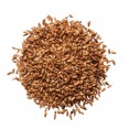 BAI ZI REN - Biota Seed - Arborvitae Seed - Oriental Arborvitae Seed - Chinese Arborvitae Seed - Biota Seed - Platycladus Seed - Semen Biotae Herb