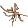 BA JI TIAN - Morinda Root - Radix Morindae Officinalis Herbs
