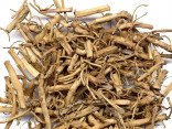 BAI QIAN - Cynanchum Root - Prime White Root - Willow Leaf Swallow Wort Rhizome - Glaucescent Swallow Wort Rhizome - Rhizoma et Radix Cynanchi Stauntonii Herb