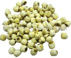 LIAN ZI (BAI) - Lotus Seed - Flos Farfarae Herb