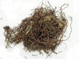 BIAN XU - Knotgrass - Knotweed - Polygonum - Herba Polygoni Avicularis Herb