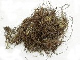 BIAN XU - Knotgrass - Knotweed - Polygonum - Herba Polygoni Avicularis Herb