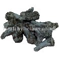 DANG GUI TOU - Chinese Angelica Root - Radix Angelicae Sinensis Herb