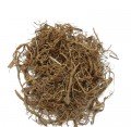 DANG GUI WEI - Chinese Angelica Root - Radix Angelicae Sinensis Herb