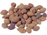 PANG DA HAI - Boat Sterculia Seed - Sterculia Seed - Boat-fringed Sterculia Seed  - Semen Sterculiae Lychnophorae Herb
