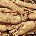 REN SHEN  - Ginseng Root - Radix Ginseng Herb