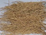 XU CHANG QING - Paniculate swallow wort root -Paniculate Cynanchum - Herba Pycnostelmae - Radix Cynanchi Paniculati Herb