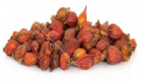 ZHI ZI  - Gardenia Fruit, (Capejasmine) - Fructus Gardeniae Herb