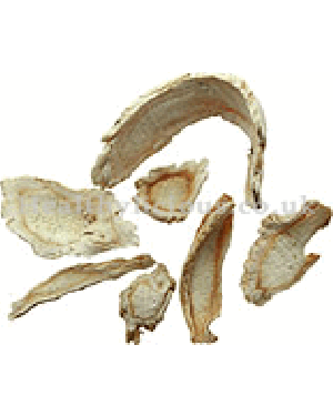JIE GENG - Balloon-Flower Root (Platycodon Root) - Radix Platycodi Herb