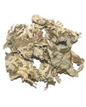 AI YE - Mugwort Leaf - Folium Artemisiae Argyi -  	Artemisia - Argyi Wormwood Leaf