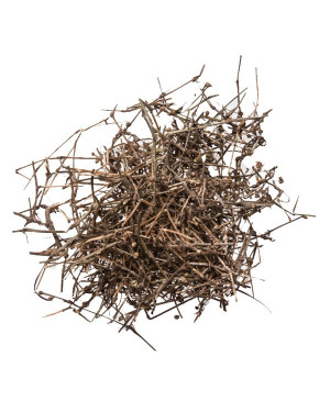 BAI HUA SHE SHE CAO - Olderlandia - Hedyotis - Snaketongue Grass Herb - Spreading Hedyotis Herb - Herba Hedyotis Diffusae Herb