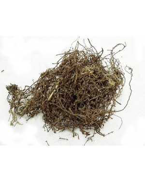 BIAN XU - Knotgrass - Knotweed - Polygonum - Herba Polygoni Avicularis Herb