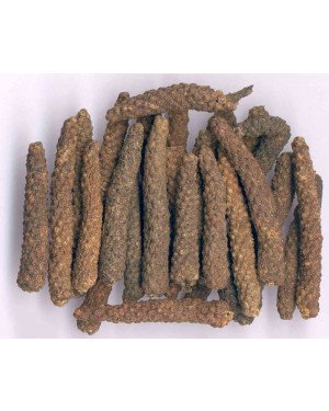 BI BA - Long Pepper Fruit - Fructus Piperis Longi Herb