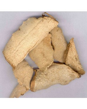 BI XIE  - Hypoglauca Yam - Seven lobed Yam -  Tokoro - Long Yam Root - Rhizoma Dioscoreae Hypoglaucae Herb