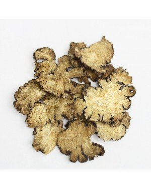CHUAN XIONG - Sichuan Lovage Root - Cnidium - Rhizoma Chuanxiong - Rhizoma Ligustici Chuanxiong - Rhizoma Ligustici Wallichii