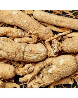 REN SHEN  - Ginseng Root - Radix Ginseng Herb