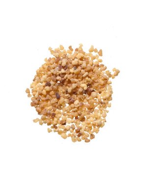 RU XIANG - Gum Olibanum - Mastic - Boswellia - Frankincense - Resina Oliani Herb