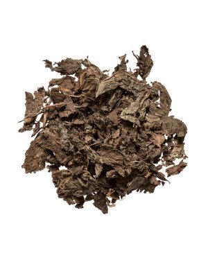ZI SU YE  - Perilla Leaf  - Bushy Perilla - Chiso - Purple Perilla Leaf - Folium Perillae Herb