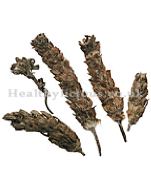 XIA KU CAO - Selfheal Spike (Prunella Spike) - Spica Prunellae Herb
