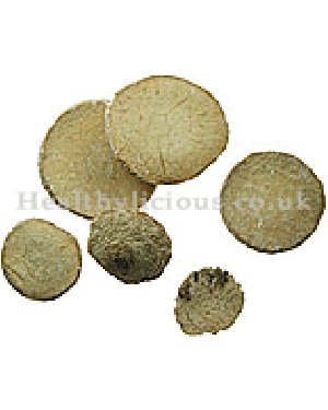 ZE XIE - Alismatis Tuber (Water-Plaintain Tuber) - Rhizoma Alismatis Herb