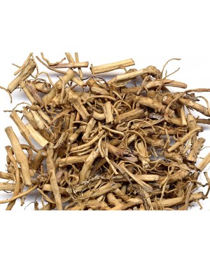 BAI QIAN - Cynanchum Root - Prime White Root - Willow Leaf Swallow Wort Rhizome - Glaucescent Swallow Wort Rhizome - Rhizoma et Radix Cynanchi Stauntonii Herb