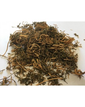 BAN BIAN LIAN - Chinese Lobelia - Herba Lobeliae Chinensis Herb