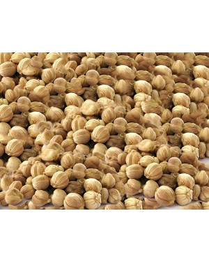 BAI DOU KOU - Round Cardamon Seed - Fructus Amomi Kravanh - Cardamon Cluster - Amomum - Fructus Amomi Rotundus Herb