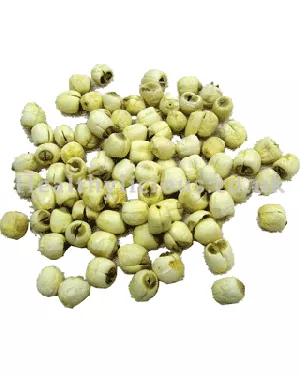 LIAN ZI (BAI) - Lotus Seed - Flos Farfarae Herb