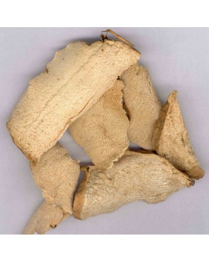 BI XIE  - Hypoglauca Yam - Seven lobed Yam -  Tokoro - Long Yam Root - Rhizoma Dioscoreae Hypoglaucae Herb