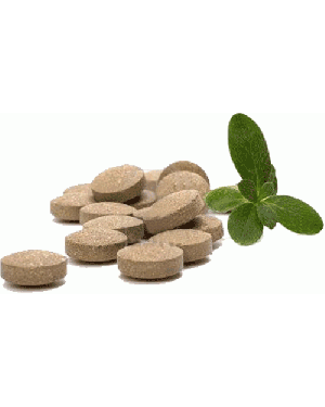Yin Qiao San - Honeysuckle and Forsythia Formula