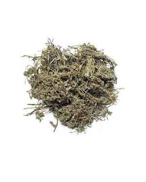 E BU SHI CAO - Centipeda Herb - Herba Centipedae Herb