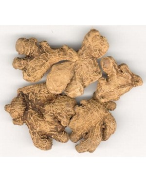 GAN JIANG - Dried Ginger - Dried Ginger Rhizome - Rhizoma Zingiberis Herb