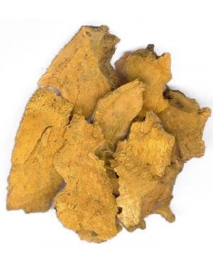 HU ZHANG - Giant Knotweed - Rhizoma Polygoni Cuspidati - Bushy Knotweed Rhizome - Japanese Knotweed Root - Polygoni Cuspidatum