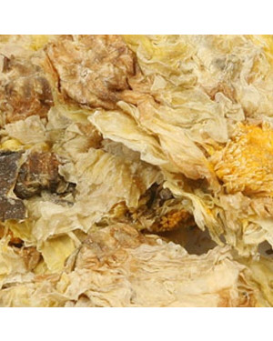 JU HUA  - Chrysanthemum Flower - Flos Chrysanthemi Herb