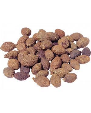PANG DA HAI - Boat Sterculia Seed - Sterculia Seed - Boat-fringed Sterculia Seed  - Semen Sterculiae Lychnophorae Herb