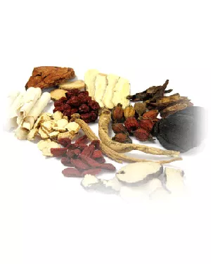 MU HU DIE - Wooden Butterfly Seed - Semen Oroxyli Herb