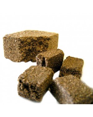 SHEN QU - Medicated Leaven - Massa Fermentata Medicinalis Herb