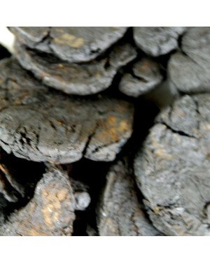 SHU DI HUANG - Prepared Rehmannia Root - Radix Rehmanniae Praeparata - Cooked (Baked) Rehmannia Root - Prepared Chinese Foxglove Root