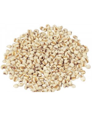 YI YI REN - Job's Tears Seed - Coix Seed - False Pearly Barley - Adlay - Semen Coicis Herb
