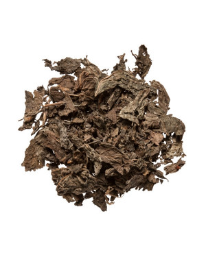 ZI SU YE  - Perilla Leaf  - Bushy Perilla - Chiso - Purple Perilla Leaf - Folium Perillae Herb