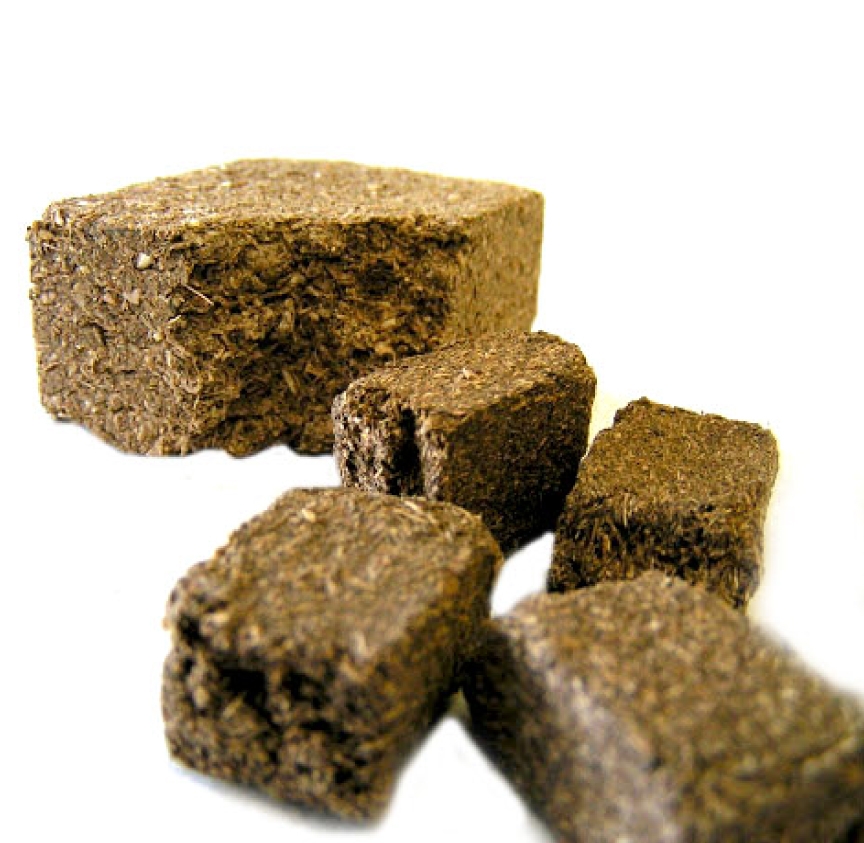 SHEN QU Medicated Leaven Massa Fermentata Medicinalis Herb